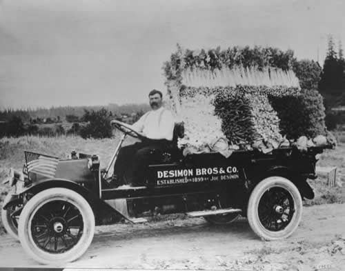 Photo of Joe Desimone on a farm produce truck